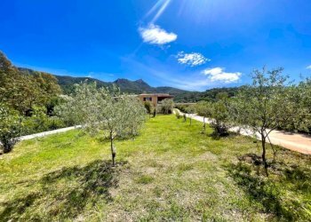 Terreno - Villa via Monte Nurres, Torpè - photo 12