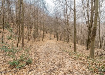 Casa semi indipendente Via Giala, 11, Barge - foto 11