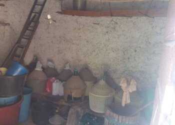 Cantina - Casa indipendente via Tinello, 15, Montelibretti - foto 28