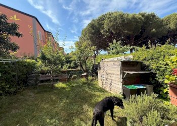 Giardino - Quadrilocale via delle Ginestre, Varazze - foto 9
