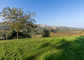 Appartamento Borgo Tossignano - foto 14