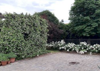 Casa indipendente Modena (zona Cittanova) - foto 10