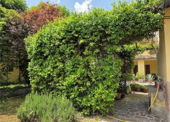 Casa indipendente Modena (zona Cittanova) - foto 11