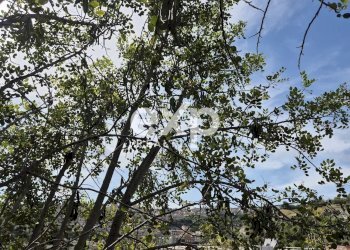 Casa indipendente Modica - foto 12