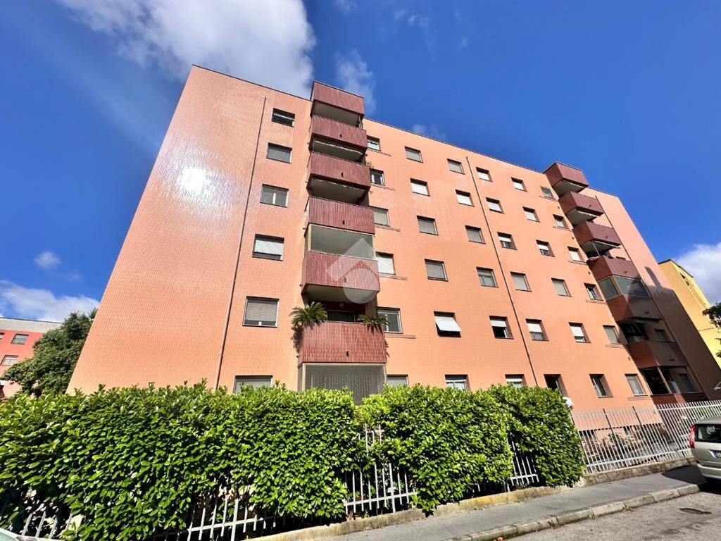 Three-room apartment Via Aldo Carpi, Milano (neighborhood Trenno) - photo 1