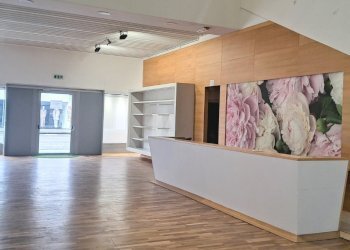 Capannone Argelato - foto 3