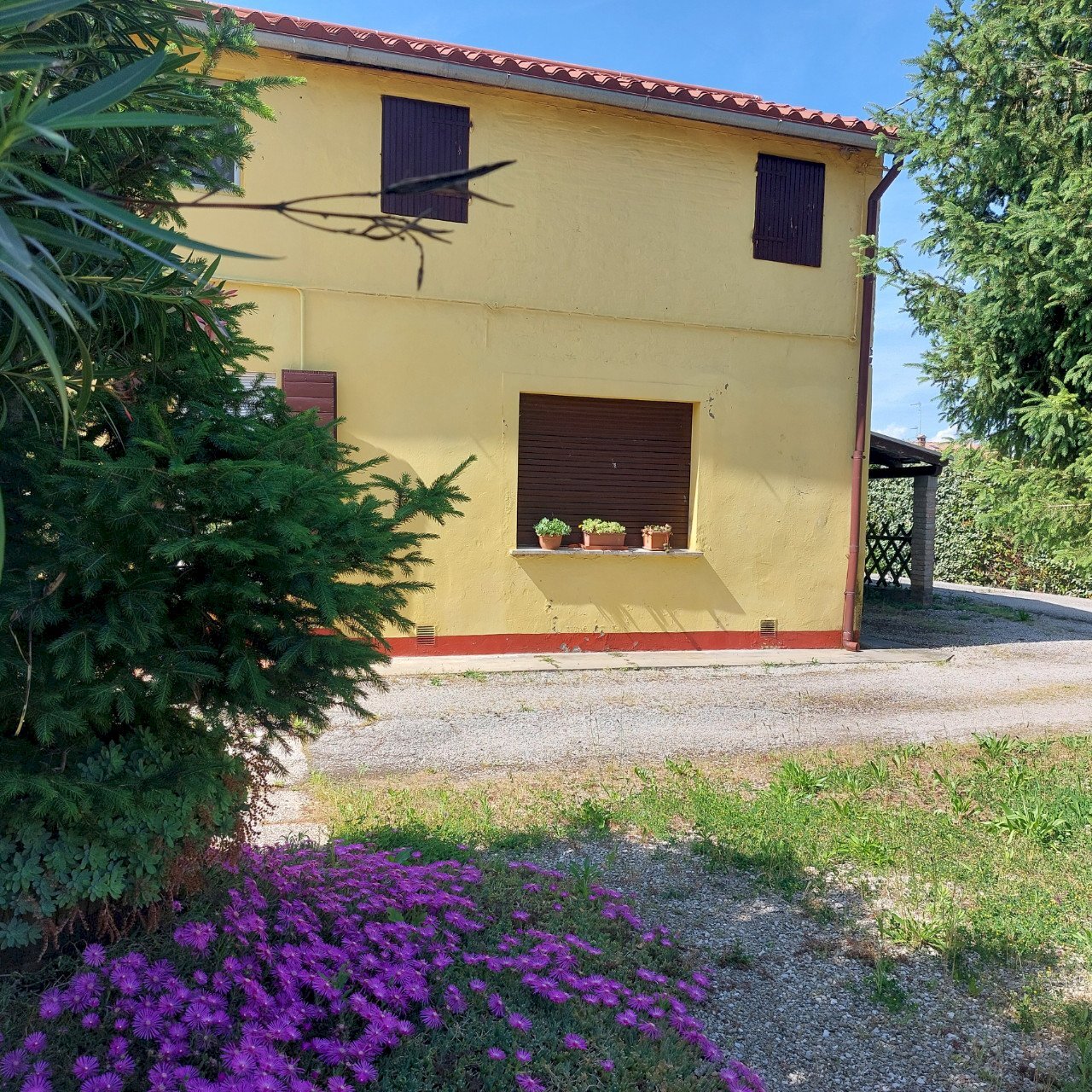 Villa Quadrifamiliare Ferrara - foto 2