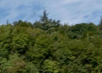 Foto 3 - Independent house frazione cerisola villa chiesa, Garessio - photo 3