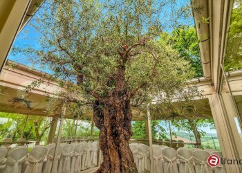 Foto 82 - Rustico Località Montignano
 
6, Massa Martana - foto 82