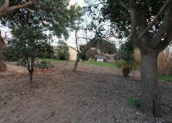 Foto 5 - Rustic via Pitz' e Serra
 
snc, Quartu Sant'Elena - photo 5