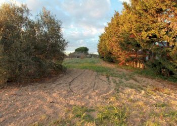 Foto 8 - Rustic via Pitz' e Serra
 
snc, Quartu Sant'Elena - photo 8