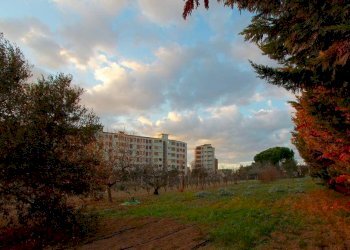 Foto 9 - Rustic via Pitz' e Serra
 
snc, Quartu Sant'Elena - photo 9