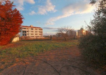 Foto 11 - Rustic via Pitz' e Serra
 
snc, Quartu Sant'Elena - photo 11