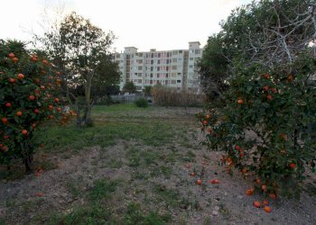 Foto 13 - Rustic via Pitz' e Serra
 
snc, Quartu Sant'Elena - photo 13