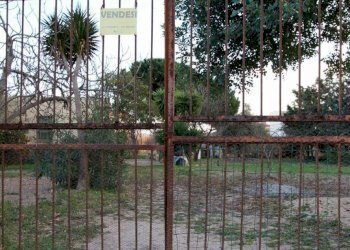 Foto 19 - Rustic via Pitz' e Serra
 
snc, Quartu Sant'Elena - photo 19