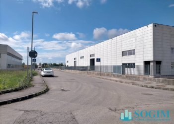 Foto 8 - Capannone via della Gasperina
sn, Romano di Lombardia - foto 5