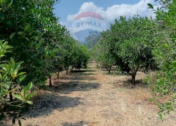 Giardino - Villa contrada petraro
 
16, Scordia - foto 16