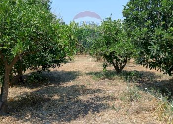 Giardino - Villa contrada petraro
 
16, Scordia - foto 23