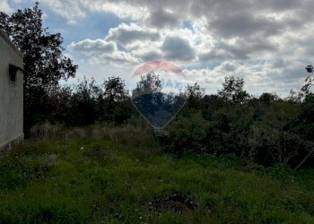 Giardino - Agricultural land via beato angelico
 
snc, Mascalucia - photo 6
