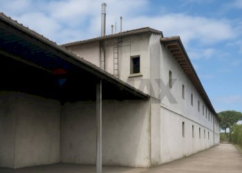 Casa all\'aperto - Laboratorio via provinciale di mercatale
 
251, Vinci - foto 20