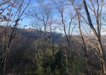 Vista delle montagne - Terreno agricolo Vocabolo Vallata Fratticiola Selvatica, Valfabbrica - foto 10