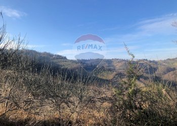Vista delle montagne - Terreno agricolo Vocabolo Vallata Fratticiola Selvatica, Valfabbrica - foto 18