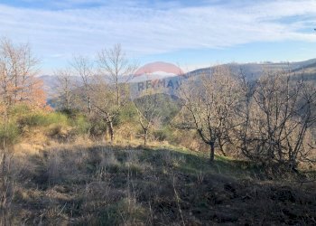 Vista delle montagne - Terreno agricolo Vocabolo Vallata Fratticiola Selvatica, Valfabbrica - foto 20