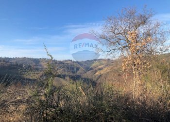 Vista delle montagne - Terreno agricolo Vocabolo Vallata Fratticiola Selvatica, Valfabbrica - foto 5