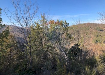 Vista delle montagne - Terreno agricolo Vocabolo Vallata Fratticiola Selvatica, Valfabbrica - foto 25
