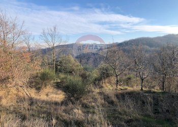 Vista delle montagne - Terreno agricolo Vocabolo Vallata Fratticiola Selvatica, Valfabbrica - foto 26