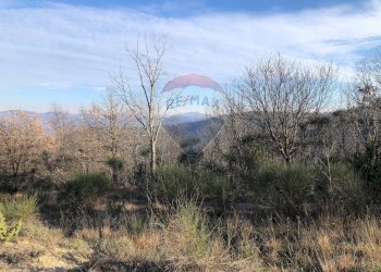 Vista delle montagne - Terreno agricolo Vocabolo Vallata Fratticiola Selvatica, Valfabbrica - foto 27