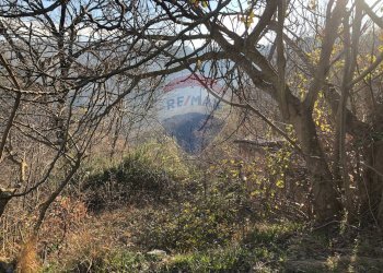Vista delle montagne - Terreno agricolo Vocabolo Vallata Fratticiola Selvatica, Valfabbrica - foto 29