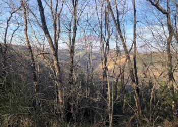 Vista delle montagne - Terreno agricolo Vocabolo Vallata Fratticiola Selvatica, Valfabbrica - foto 30