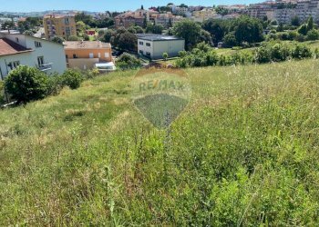 Giardino - Terreno edificabile Ippolito Nievo, Osimo - foto 7
