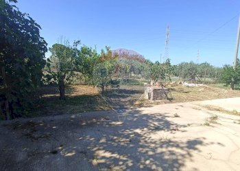 Giardino - Monolocale contrada gerardo
 
snc, Chiaramonte Gulfi - foto 18