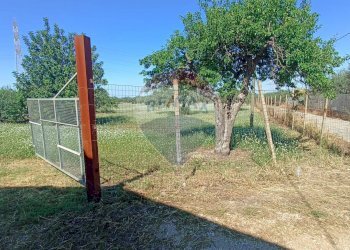 Giardino - Monolocale contrada gerardo
 
snc, Chiaramonte Gulfi - foto 19