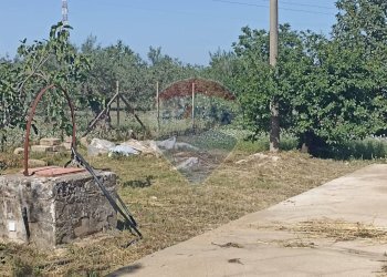 Giardino - Monolocale contrada gerardo
 
snc, Chiaramonte Gulfi - foto 20