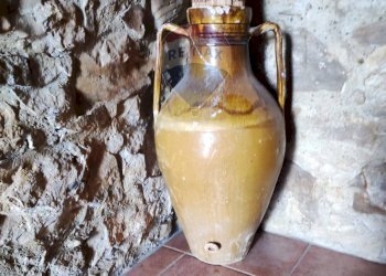 Dettagli - Terreno agricolo strada vicinale bubudello, Enna - foto 26