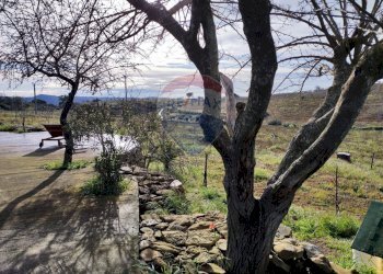 Giardino - Terreno agricolo strada vicinale bubudello, Enna - foto 38