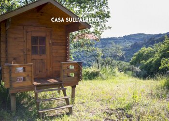 CASETTA DI LEGNO NEL BOSCO - Villa LOCALITA' LE CAVILLI
 
SNC, Roccastrada - foto 51