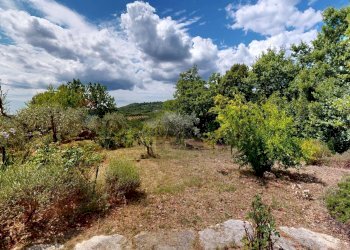 Giardino - Villa LOCALITA' LE CAVILLI
 
SNC, Roccastrada - foto 48