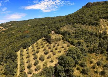 Vista delle montagne - Villa LOCALITA' LE CAVILLI
 
SNC, Roccastrada - foto 53