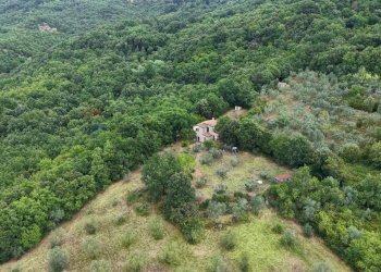Vista delle montagne - Villa LOCALITA' LE CAVILLI
 
SNC, Roccastrada - foto 54