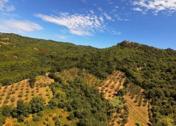 Vista delle montagne - Villa LOCALITA' LE CAVILLI
 
SNC, Roccastrada - foto 56