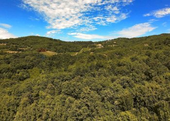 Vista delle montagne - Villa LOCALITA' LE CAVILLI
 
SNC, Roccastrada - foto 57