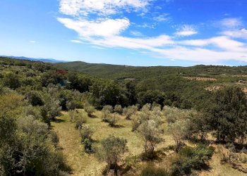 Vista delle montagne - Villa LOCALITA' LE CAVILLI
 
SNC, Roccastrada - foto 61