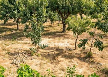 Foto 25 - Villa Contrada Saldano Rabugino, Piazza Armerina - foto 25