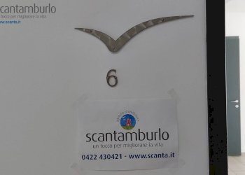 Foto 5 - Negozio Treviso - foto 5