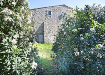 Foto 51 - Villa Località Monterado, Bagnoregio - photo 51