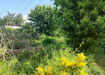 Terreno - Trilocale via Adige, 19, Rho - foto 31